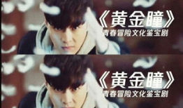 黄金瞳电视剧,探寻宝藏的传奇之旅